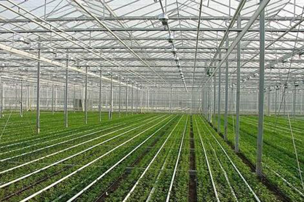 通遼鋼結構大棚